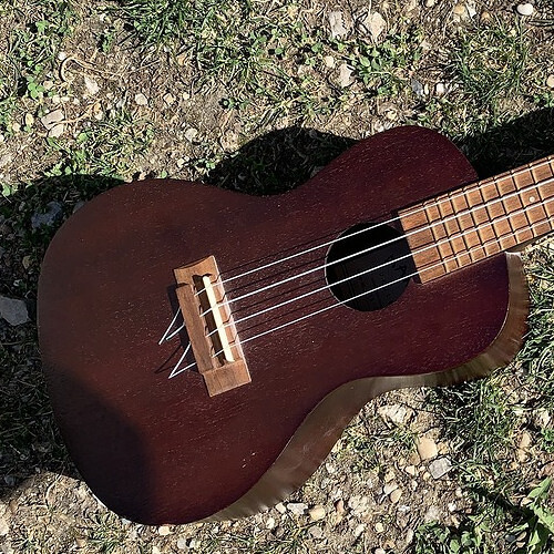 Ukulele Workshop (eintägig)